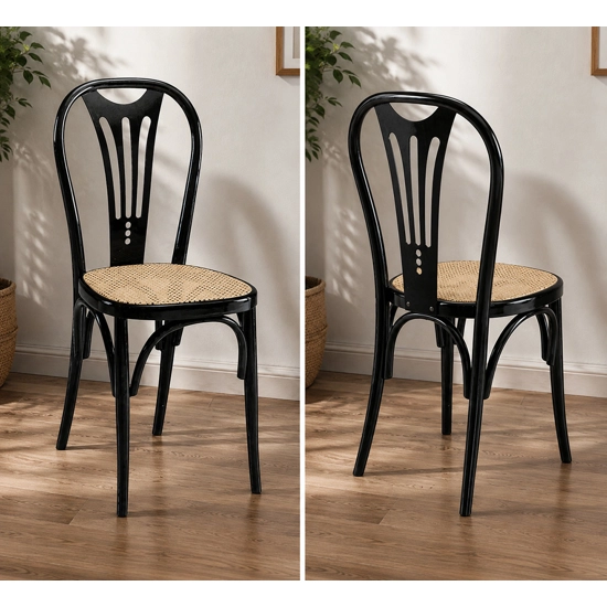 Vienna 18 Viennese chairs Progetto Sedia 1